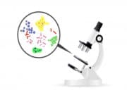 БИОЛОГИЯ ПӘНІНЕН ҚЫСҚА, ОРТА, ҰЗАҚ МЕРЗІМДІ САБАҚ ЖОСПАР 5-11 сыныптар ҚМЖ ОМЖ 2022-2023